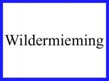 Gemeinde Wildermieming